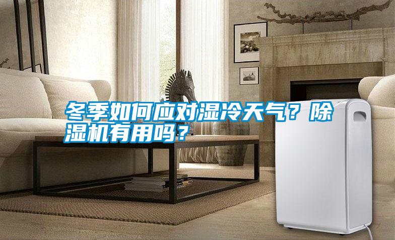 冬季如何應(yīng)對(duì)濕冷天氣？除濕機(jī)有用嗎？