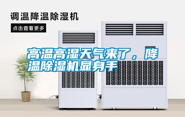 高溫高濕天氣來了，降溫除濕機顯身手