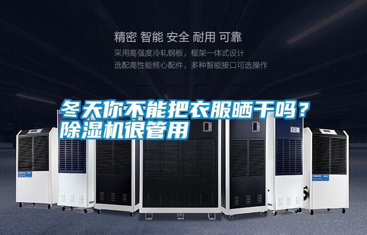 冬天你不能把衣服曬干嗎？除濕機很管用