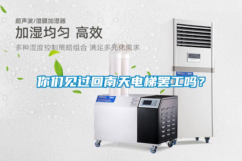 你們見過回南天電梯罷工嗎？