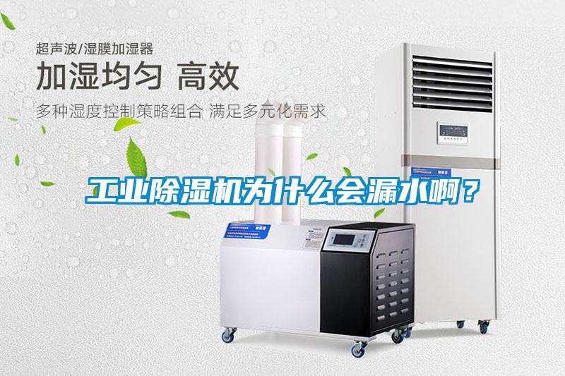 工業(yè)除濕機(jī)為什么會漏水??？