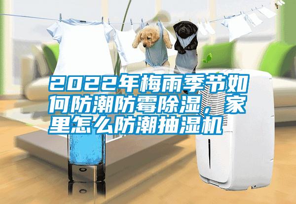 2022年梅雨季節(jié)如何防潮防霉除濕，家里怎么防潮抽濕機