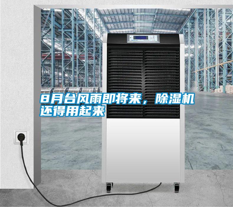 8月臺風雨即將來，除濕機還得用起來