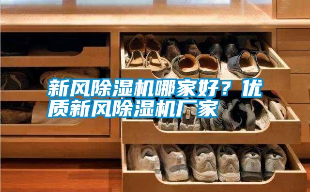 新風(fēng)除濕機(jī)哪家好？優(yōu)質(zhì)新風(fēng)除濕機(jī)廠家