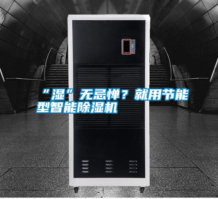“濕”無忌憚？就用節(jié)能型智能除濕機