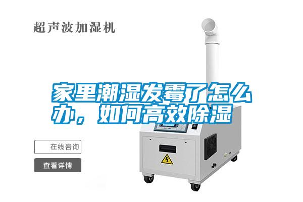 家里潮濕發(fā)霉了怎么辦，如何高效除濕