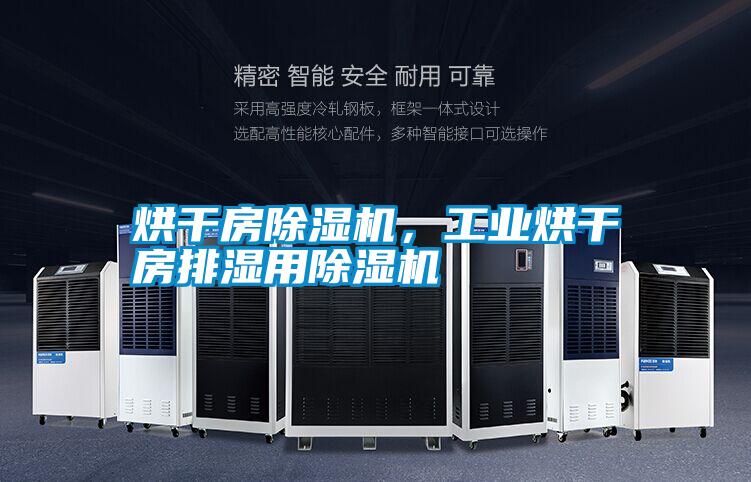 烘干房除濕機(jī)，工業(yè)烘干房排濕用除濕機(jī)