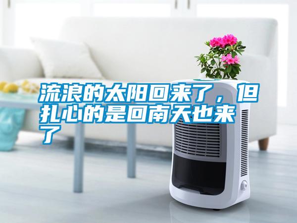 流浪的太陽回來了，但扎心的是回南天也來了