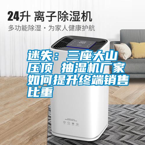迷失：三座大山壓頂 抽濕機(jī)廠家如何提升終端銷(xiāo)售比重