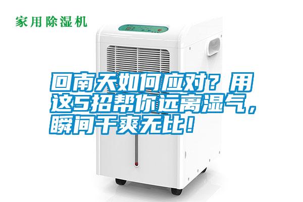 回南天如何應(yīng)對？用這5招幫你遠(yuǎn)離濕氣，瞬間干爽無比！