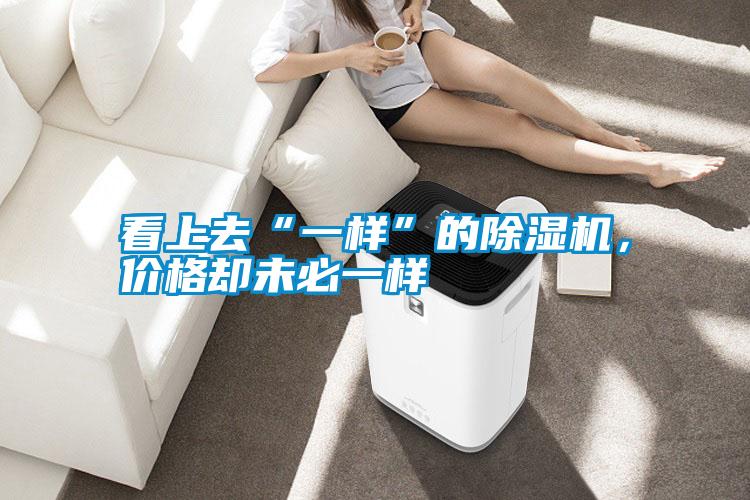 看上去“一樣”的除濕機(jī)，價(jià)格卻未必一樣