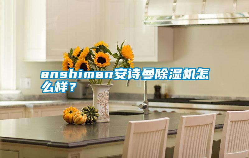 anshiman安詩曼除濕機怎么樣？