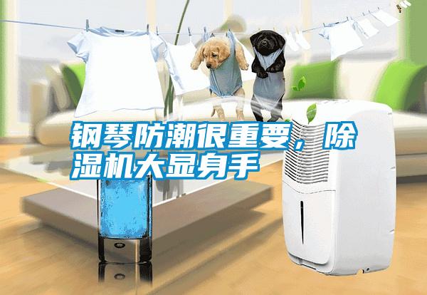 鋼琴防潮很重要，除濕機大顯身手