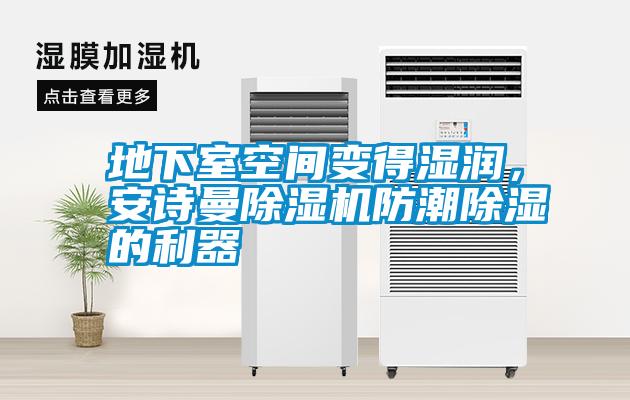 地下室空間變得濕潤，安詩曼除濕機防潮除濕的利器