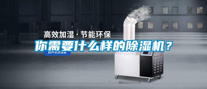 你需要什么樣的除濕機(jī)？