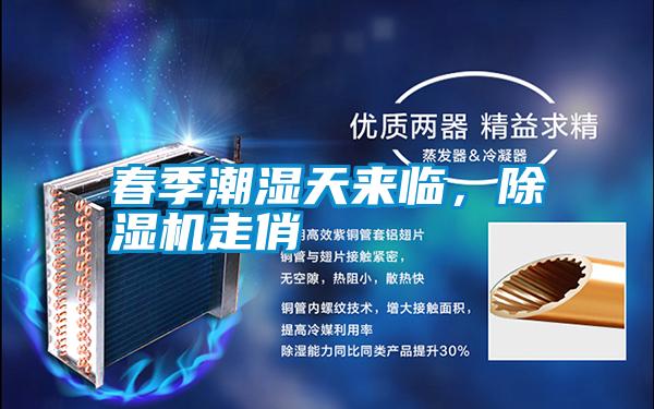 春季潮濕天來臨，除濕機(jī)走俏