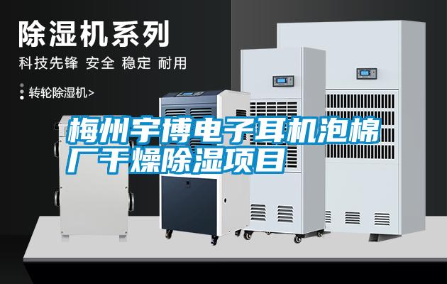 梅州宇博電子耳機(jī)泡棉廠(chǎng)干燥除濕項(xiàng)目