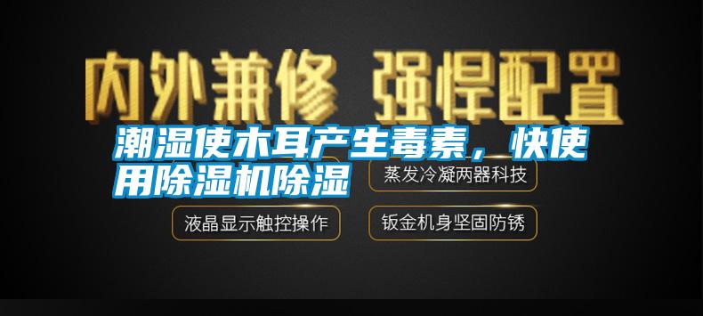 潮濕使木耳產生毒素，快使用除濕機除濕