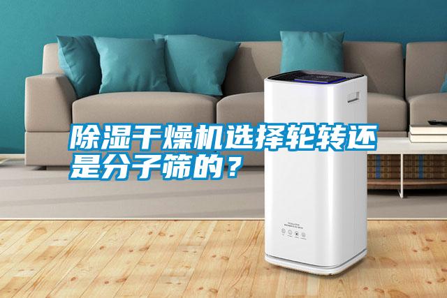除濕干燥機選擇輪轉(zhuǎn)還是分子篩的？