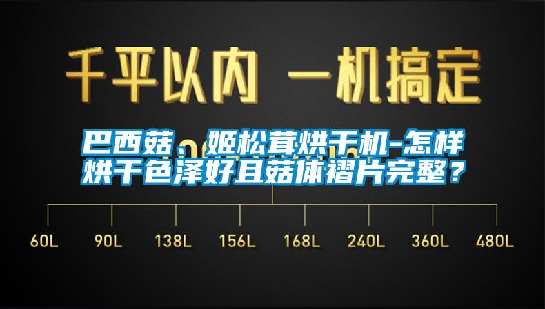 巴西菇、姬松茸烘干機-怎樣烘干色澤好且菇體褶片完整？