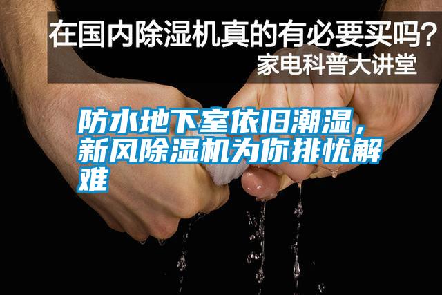防水地下室依舊潮濕，新風除濕機為你排憂解難