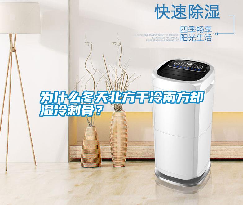 為什么冬天北方干冷南方卻濕冷刺骨？