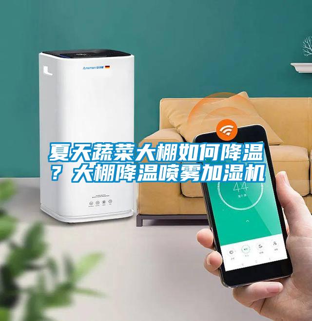 夏天蔬菜大棚如何降溫？大棚降溫噴霧加濕機(jī)