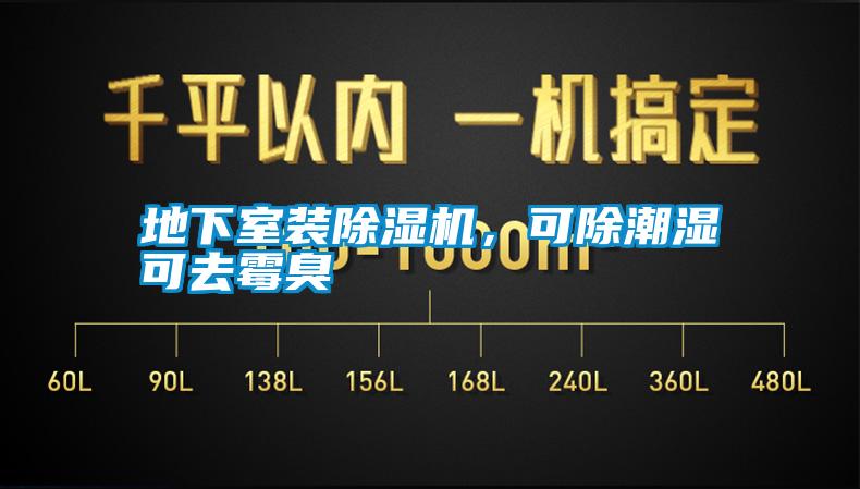 地下室裝除濕機(jī)，可除潮濕可去霉臭