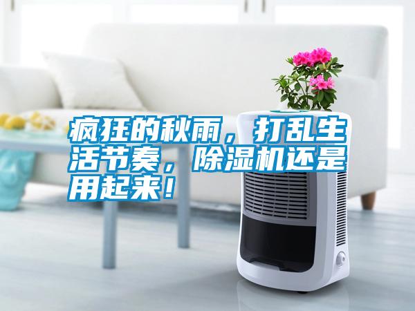 瘋狂的秋雨，打亂生活節(jié)奏，除濕機(jī)還是用起來！