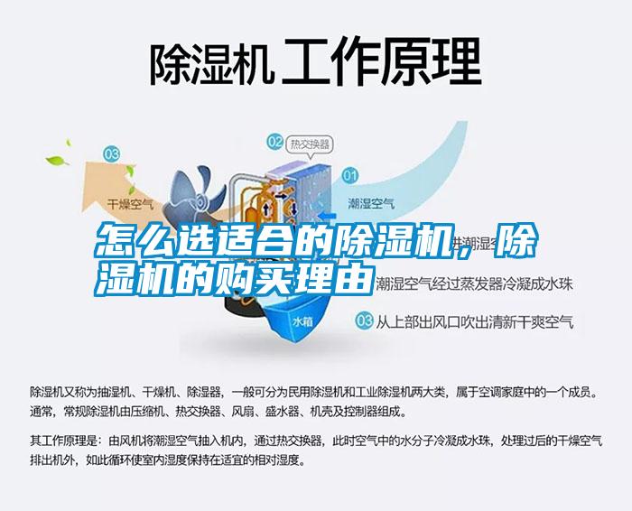 怎么選適合的除濕機(jī)，除濕機(jī)的購買理由