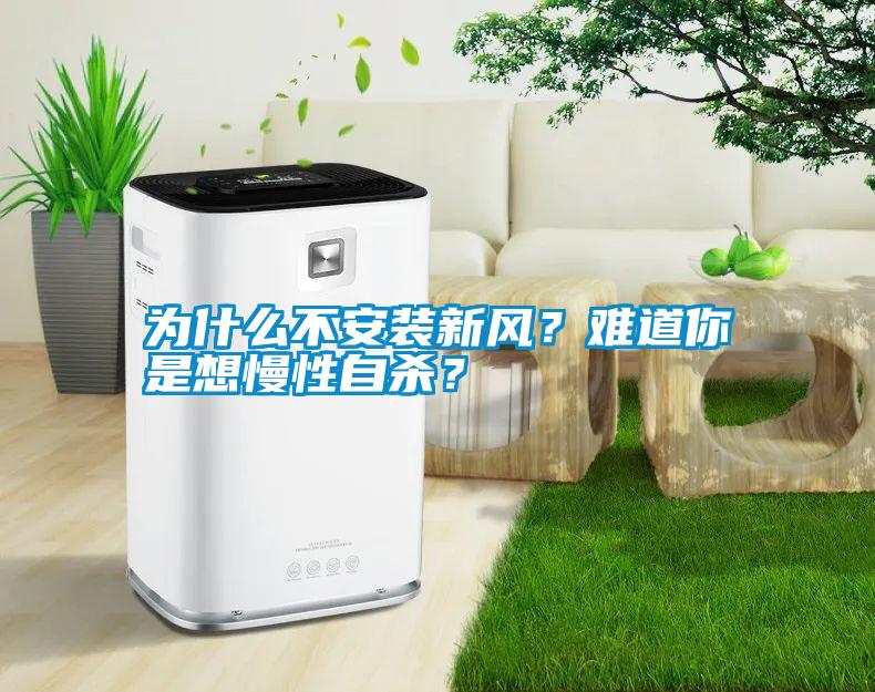 為什么不安裝新風(fēng)？難道你是想慢性自殺？