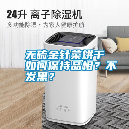 無硫金針菜烘干如何保持品相？不發(fā)黑？