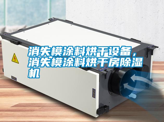 消失模涂料烘干設(shè)備，消失模涂料烘干房除濕機(jī)
