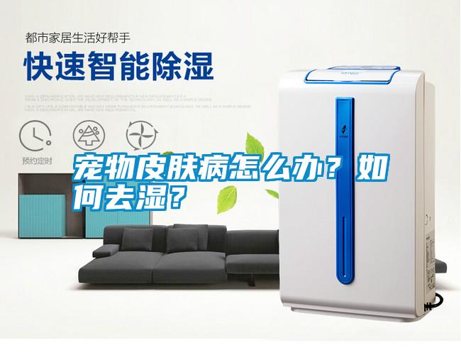 寵物皮膚病怎么辦？如何去濕？