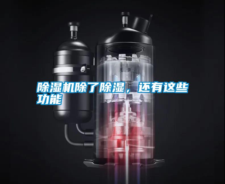 除濕機(jī)除了除濕，還有這些功能