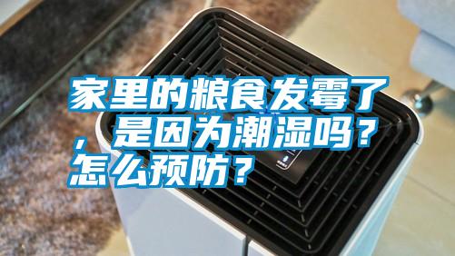 家里的糧食發(fā)霉了，是因?yàn)槌睗駟幔吭趺搭A(yù)防？