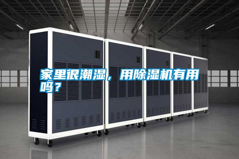 家里很潮濕，用除濕機(jī)有用嗎？