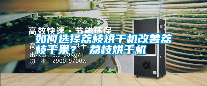 如何選擇荔枝烘干機改善荔枝干果？ 荔枝烘干機