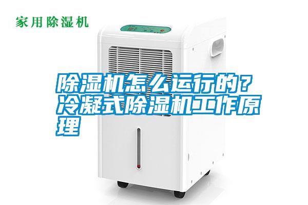 除濕機怎么運行的？冷凝式除濕機工作原理