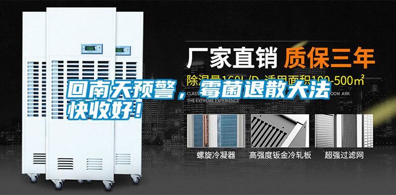回南天預(yù)警，霉菌退散大法快收好！