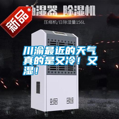 川渝最近的天氣真的是又冷！又濕！