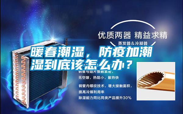 暖春潮濕，防疫加潮濕到底該怎么辦？