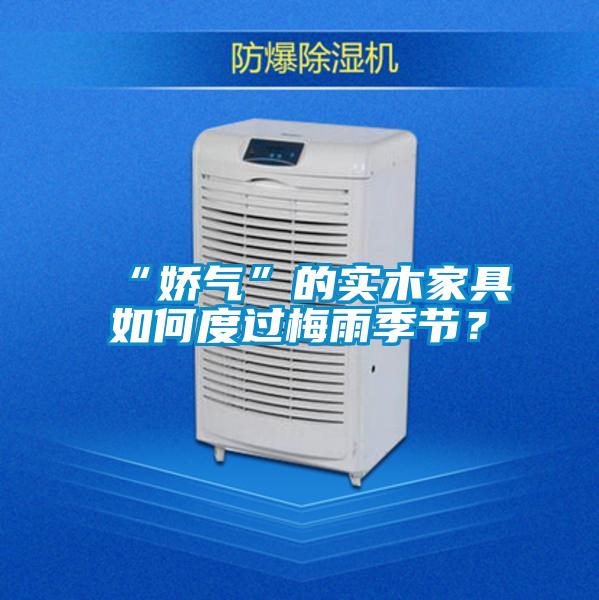 “嬌氣”的實木家具如何度過梅雨季節(jié)？