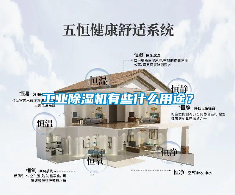 工業(yè)除濕機有些什么用途？