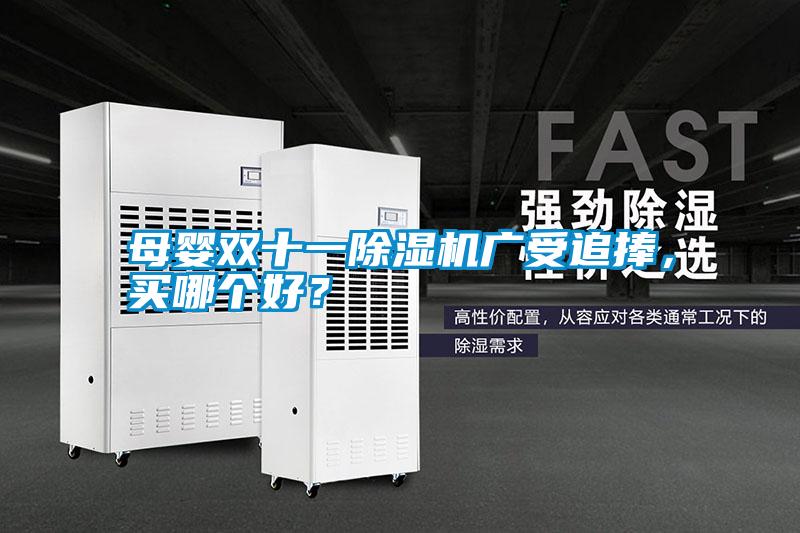 母嬰雙十一除濕機(jī)廣受追捧，買哪個好？