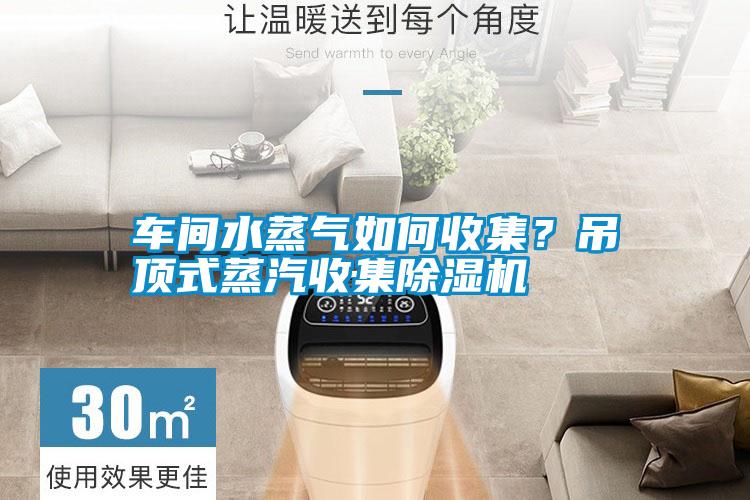 車間水蒸氣如何收集？吊頂式蒸汽收集除濕機(jī)