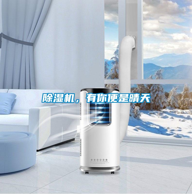除濕機，有你便是晴天