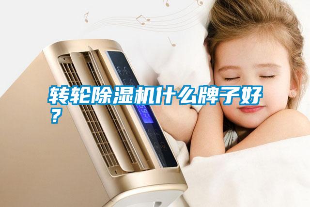 轉(zhuǎn)輪除濕機什么牌子好？