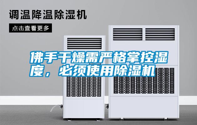 佛手干燥需嚴(yán)格掌控濕度，必須使用除濕機
