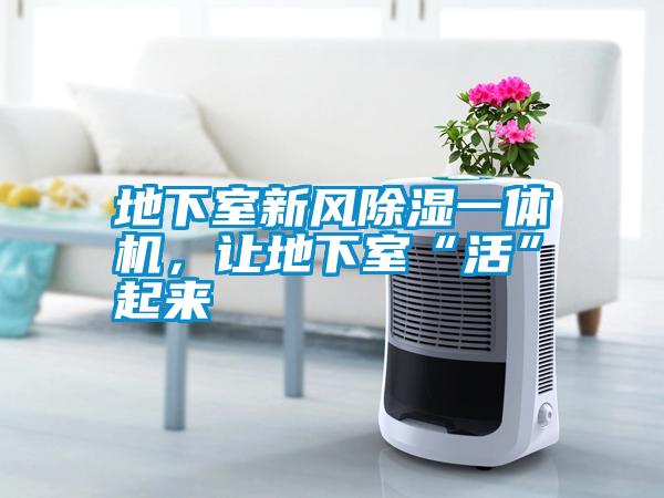 地下室新風(fēng)除濕一體機(jī)，讓地下室“活”起來